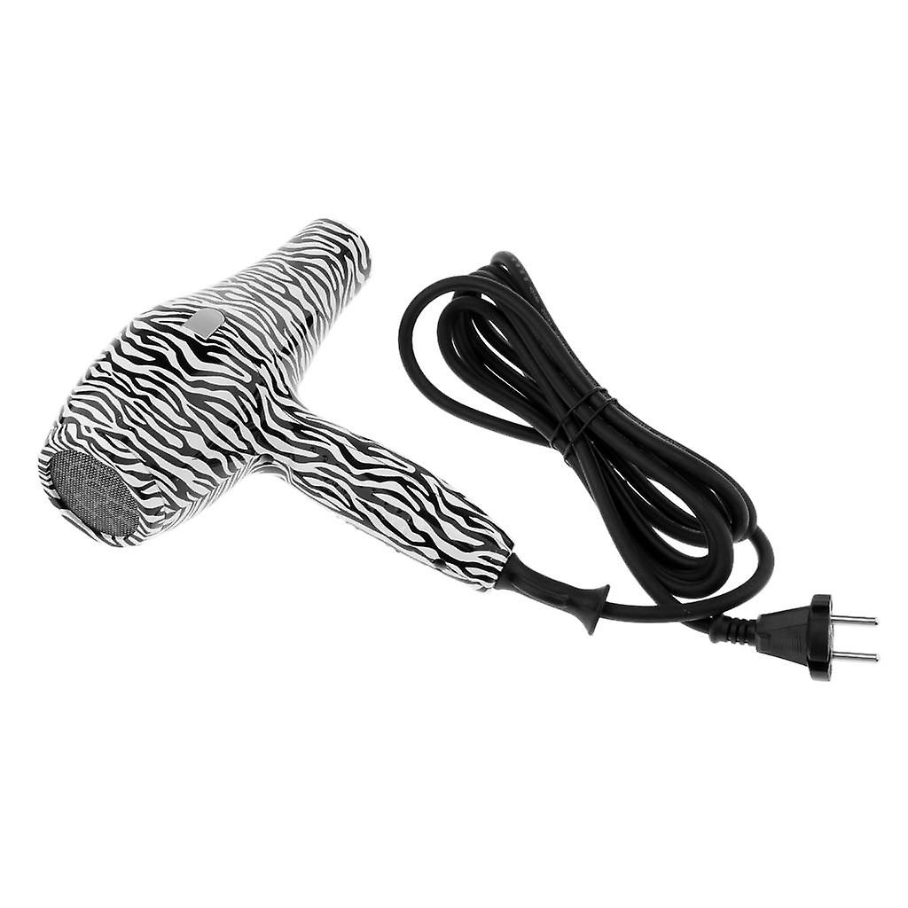 Professional 2000W Salon Hair Blow Dryer Fast Heating Hot Cold Wind EU Plug