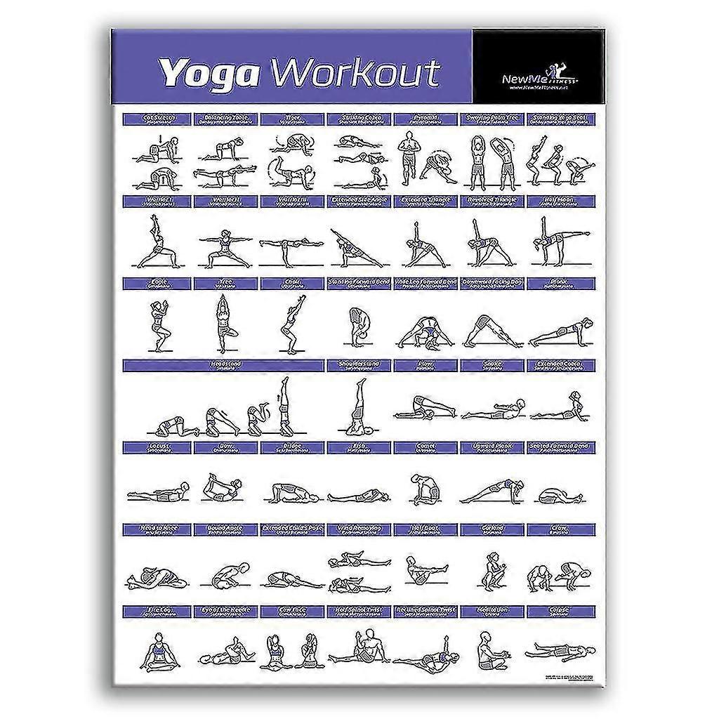 Learning Dumbbell Workout Exercise Poster Laminated Free Weight Body Building Tw