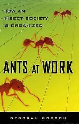 Ants At Work