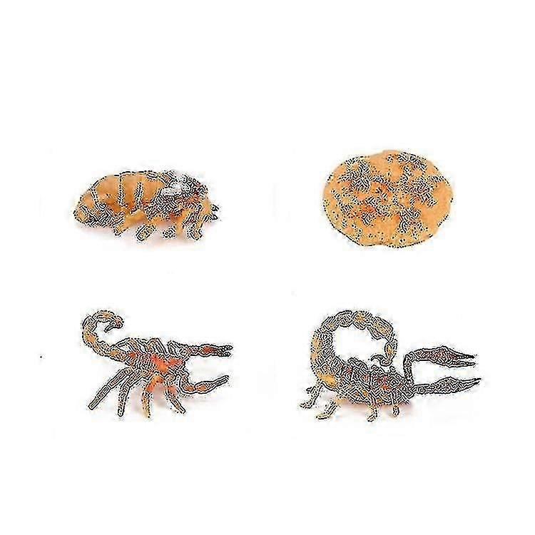 Scorpion Miniature Figurines Set - Creatures Toy Collection