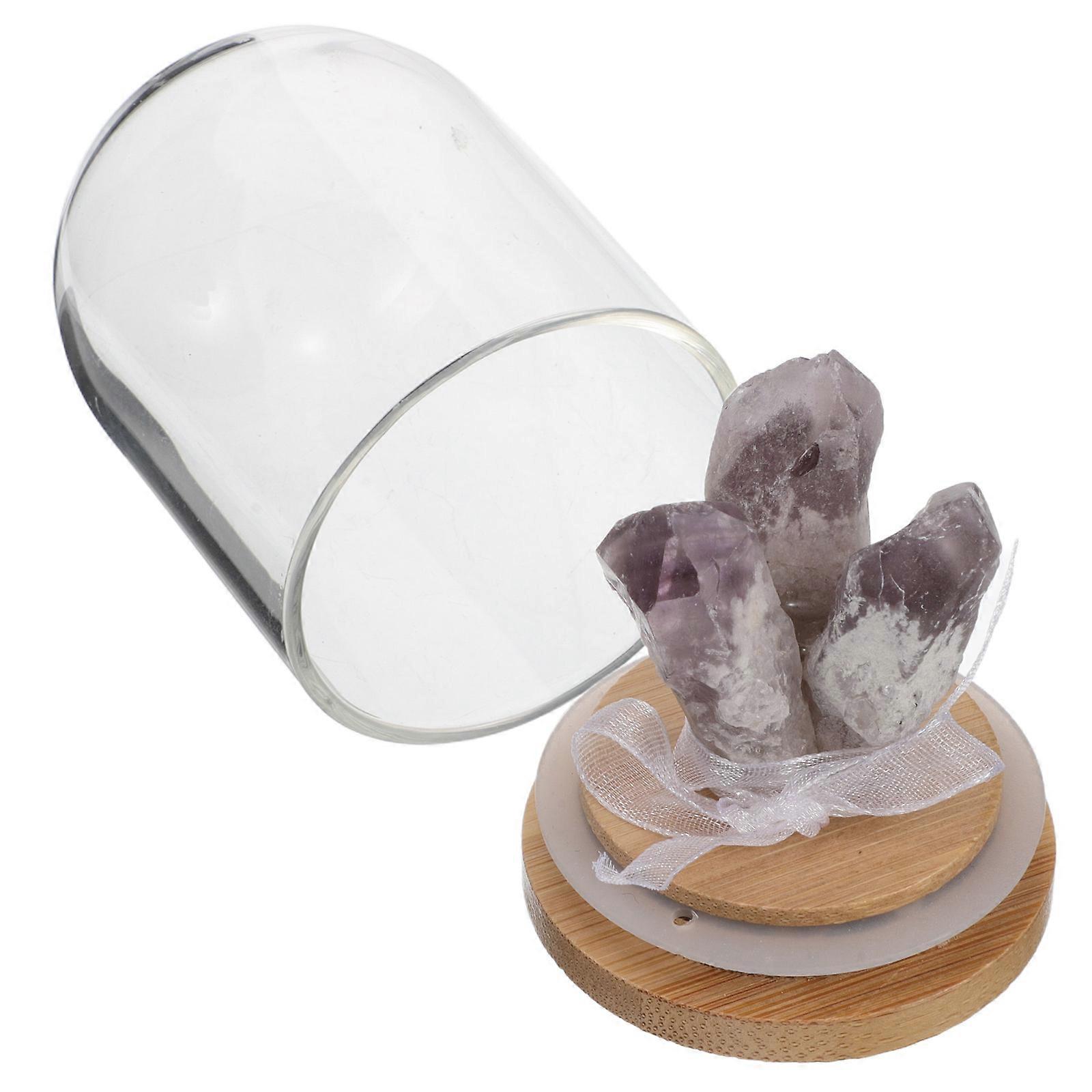 Crystal Tooth Tree Glass Dome for Office Decor Featuring 2Pcs