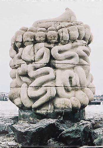 Le Pied Le Pullover Et Le Systeme Digestif by Danie Dewar Hardback Book