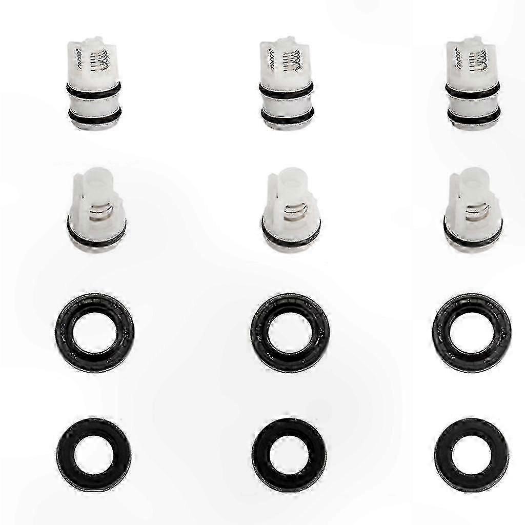 High-pressure washer seals and oil check valve replacement kit