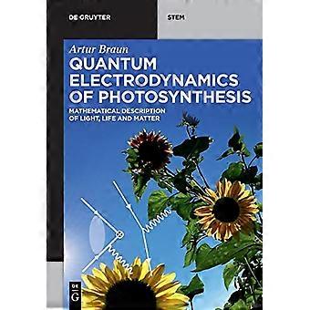 Kwantumelektrodynamica van fotosynthese: wiskundige beschrijving van licht, leven en materie (De Gruyter STEM)
