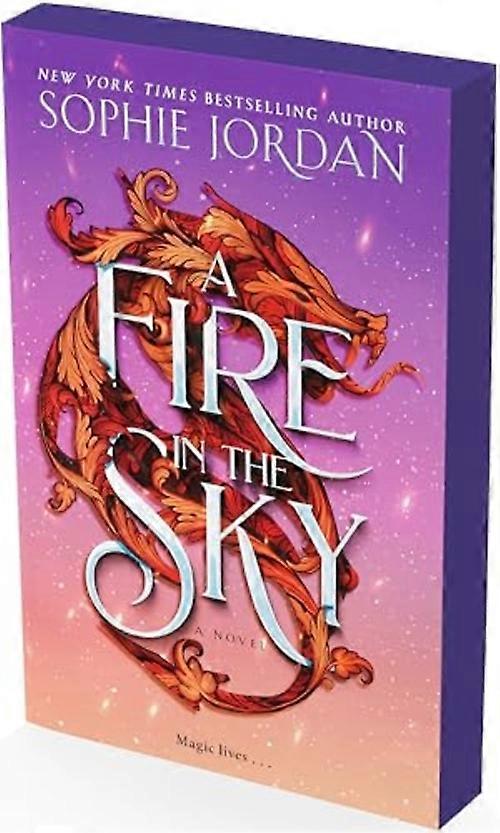 Fire in the Sky : a Novel