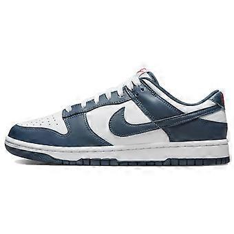 Nike Dunk Low Valerian Blue DD1391-400