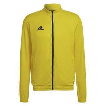 Adidas Herren Entrada 22 Trainingsjacke