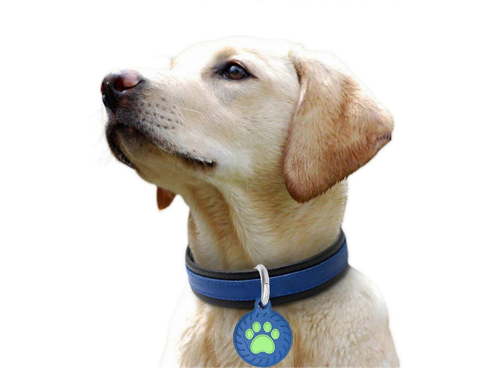 2PCS Blue Tracker Protector Double Side Designed Case Cover Key Chain For AirTag