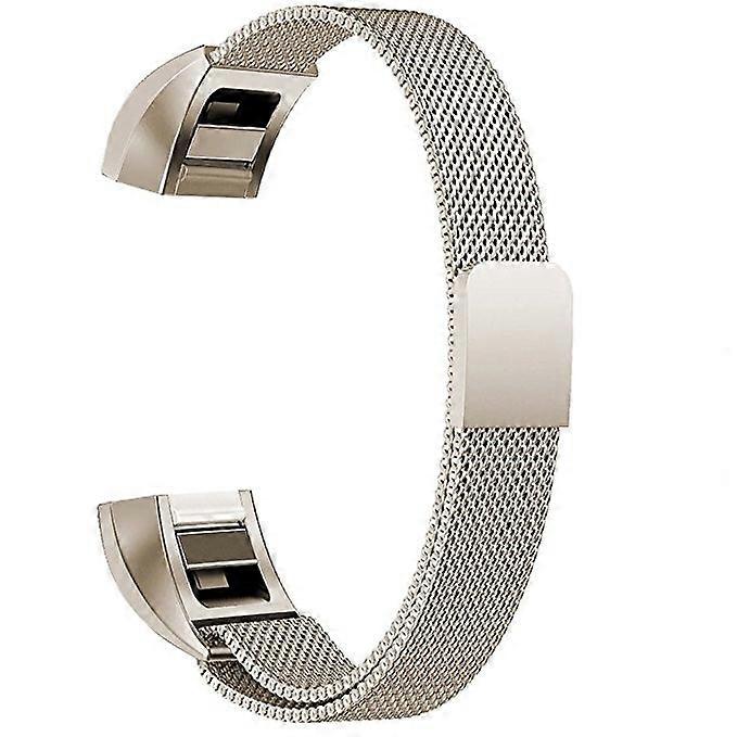 Stainless Steel Magnet Strap for FITBIT Alta,170-236mm