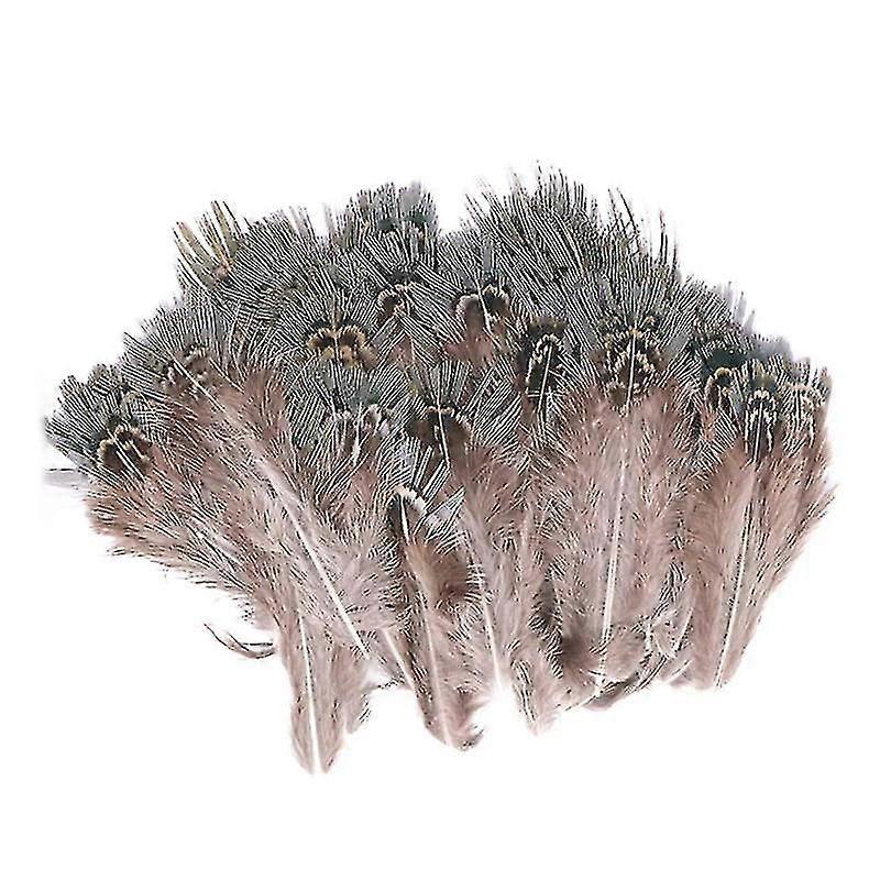 Set of 100 DIY Feathers - Feathers for Crafting, DIY Projects, and Decorations