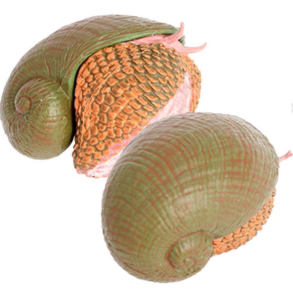 2pcs Realistic Snail Figures for Garden & Desktop Decor – Educational Animal Models, Safe Material for Learning and Play