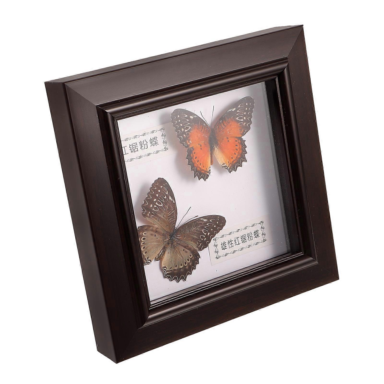 Butterfly Specimen Framed Decorative Butterfly Display Frame for Wall 3Pcs