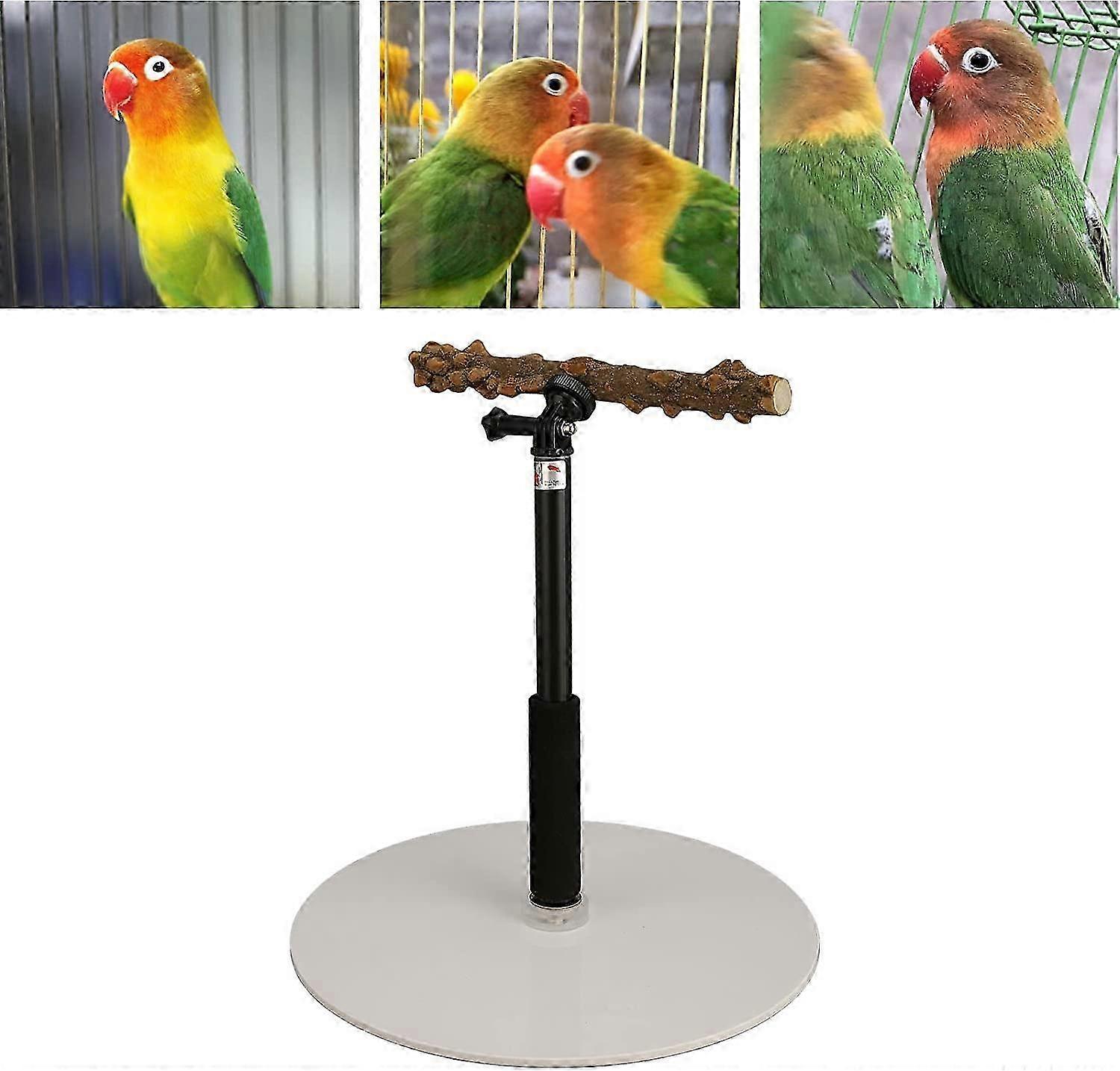 25-26 Natural Wood Bird Perch Stand, Portable Detachable Parrot Play Stand Bird Play Stand Parrots Playground Adjustable Bird Perch for Indo