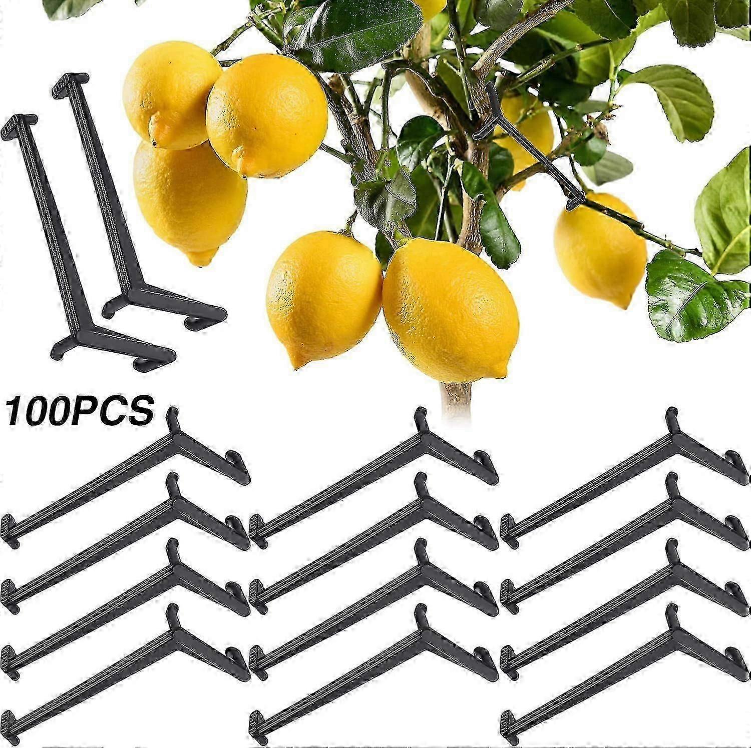 100 Pieces Black Branch Spreader for Fruit Tree Crotch Angles
