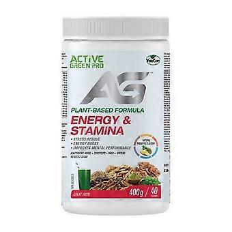 Active Green Pro Plantaardige Groenten Energie en Uithoudingsvermogen Ananas, 400 Gram