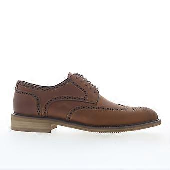 Steve Madden Eckley Herrenschuhe mit Flügelkappe und Brogue-Schnürung