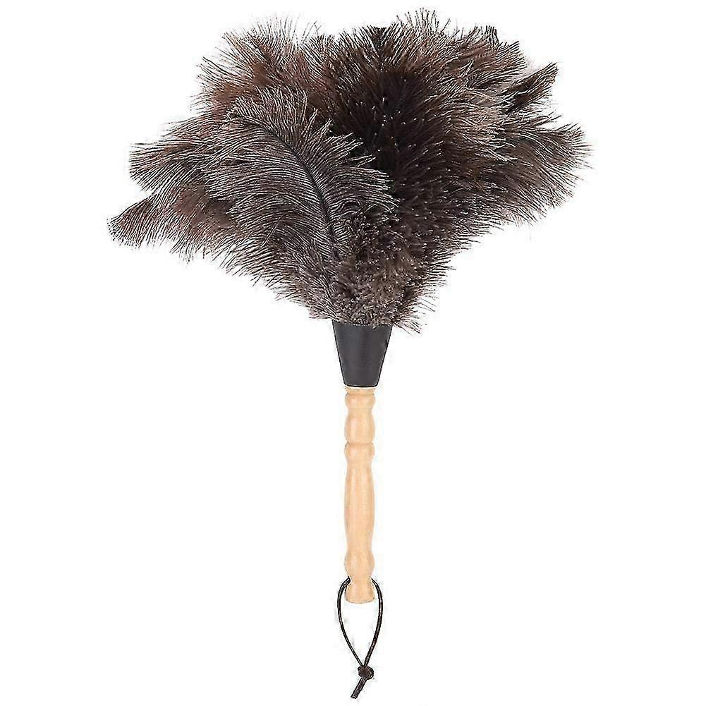 AntiStatic Washable Ostrich Feather Duster
