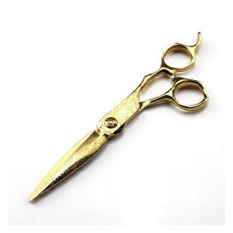 Stainless Steel Hair Cutting Scissors 6.0 Inch, Thinning Shears for Hairdressers & Home Grooming
