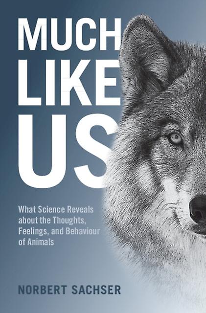 Much Like Us by Norbert Sachser Paperback Book