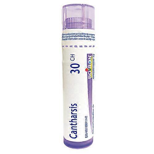 Cantharis 30 Ch, 80 Count by Boiron (Pack of 3)