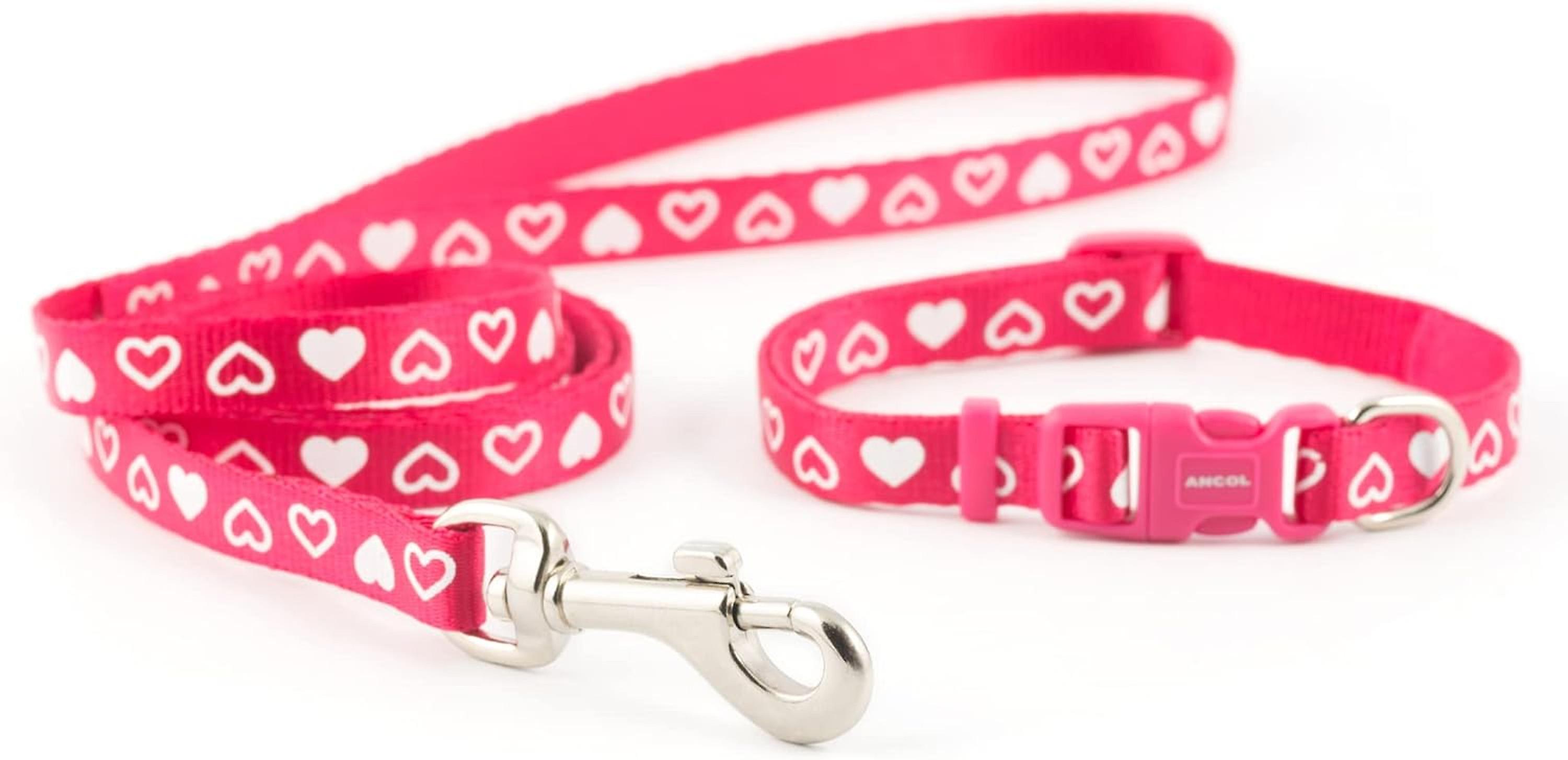Ancol Small Bite Heart Dog Collar and Lead Set Rasp