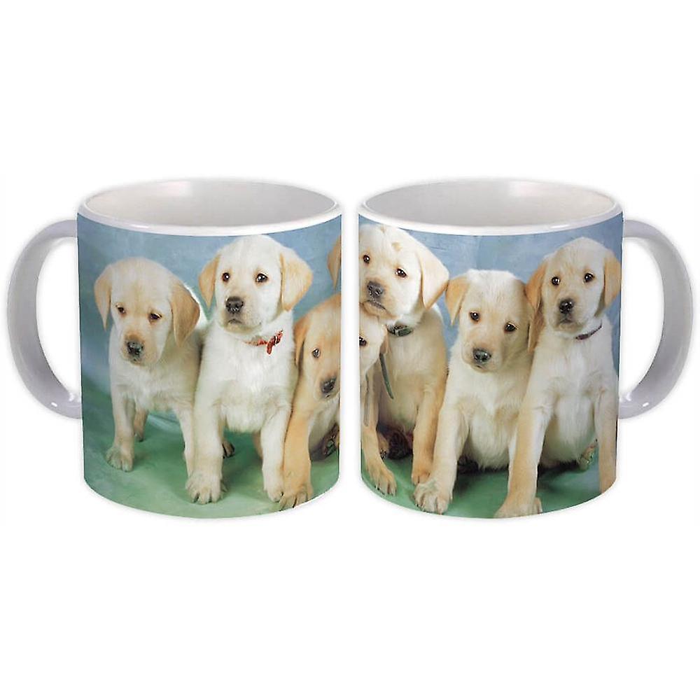 Gift Mug: Golden Retriever Dog