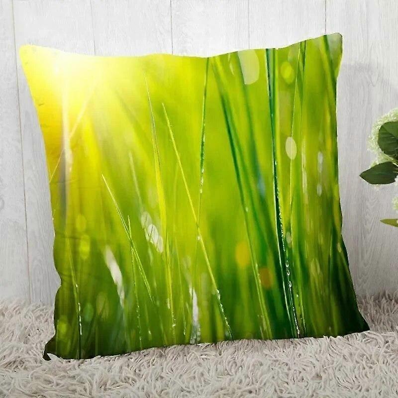 Print Pillowcase Sofa Cushion Cover Design Style -310