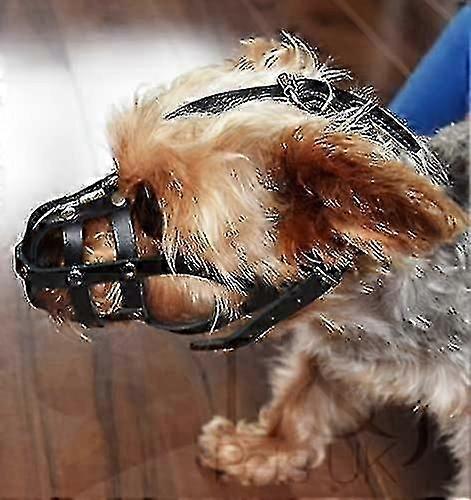 Museau de chien en cuir léger pour Chihuahua Yorkshire Terrier Mini pichet et autres petits chiens (cuir naturel, 00)