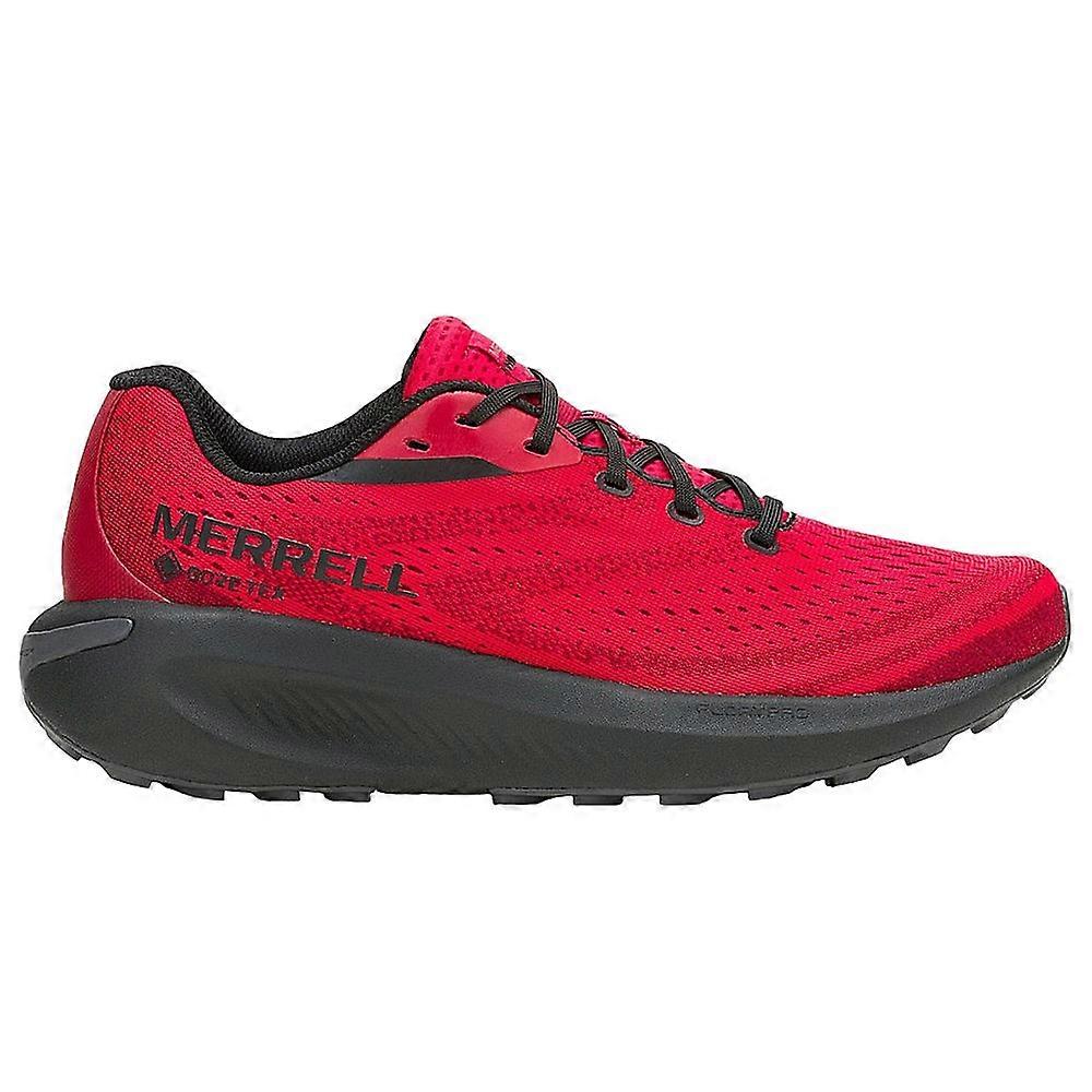 Shoes Merrell Morphlite Gtx for running J068279
