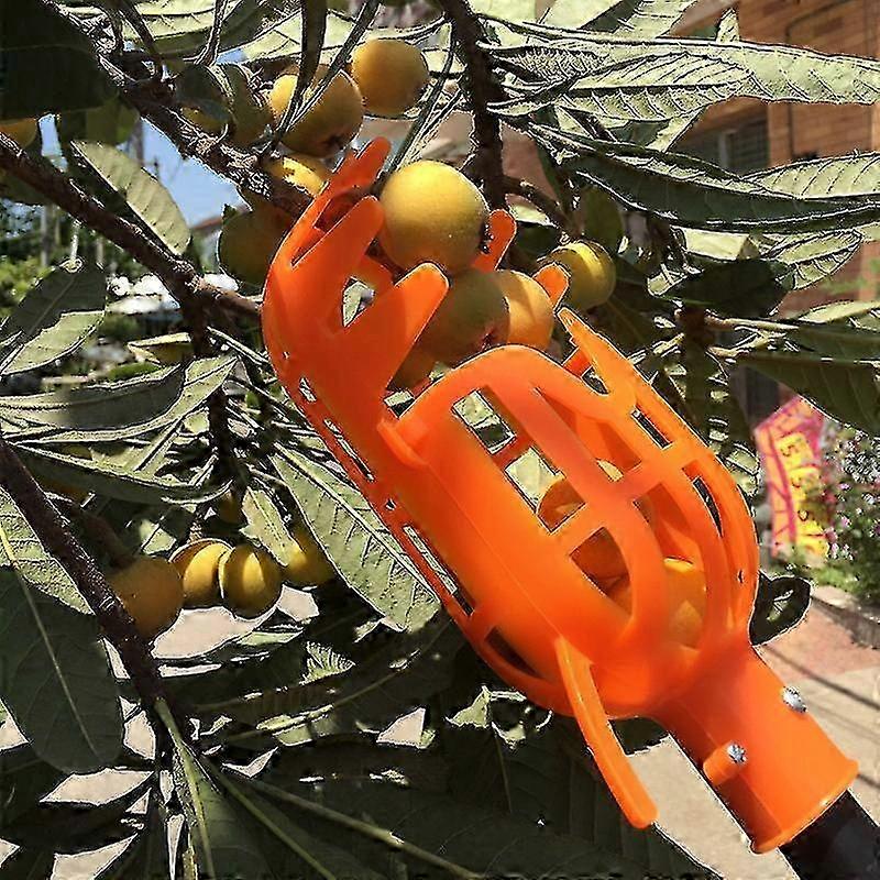Fruit Picker Tool for Loquats, Waxberries, Peaches, Plums, Dates, Persimmons