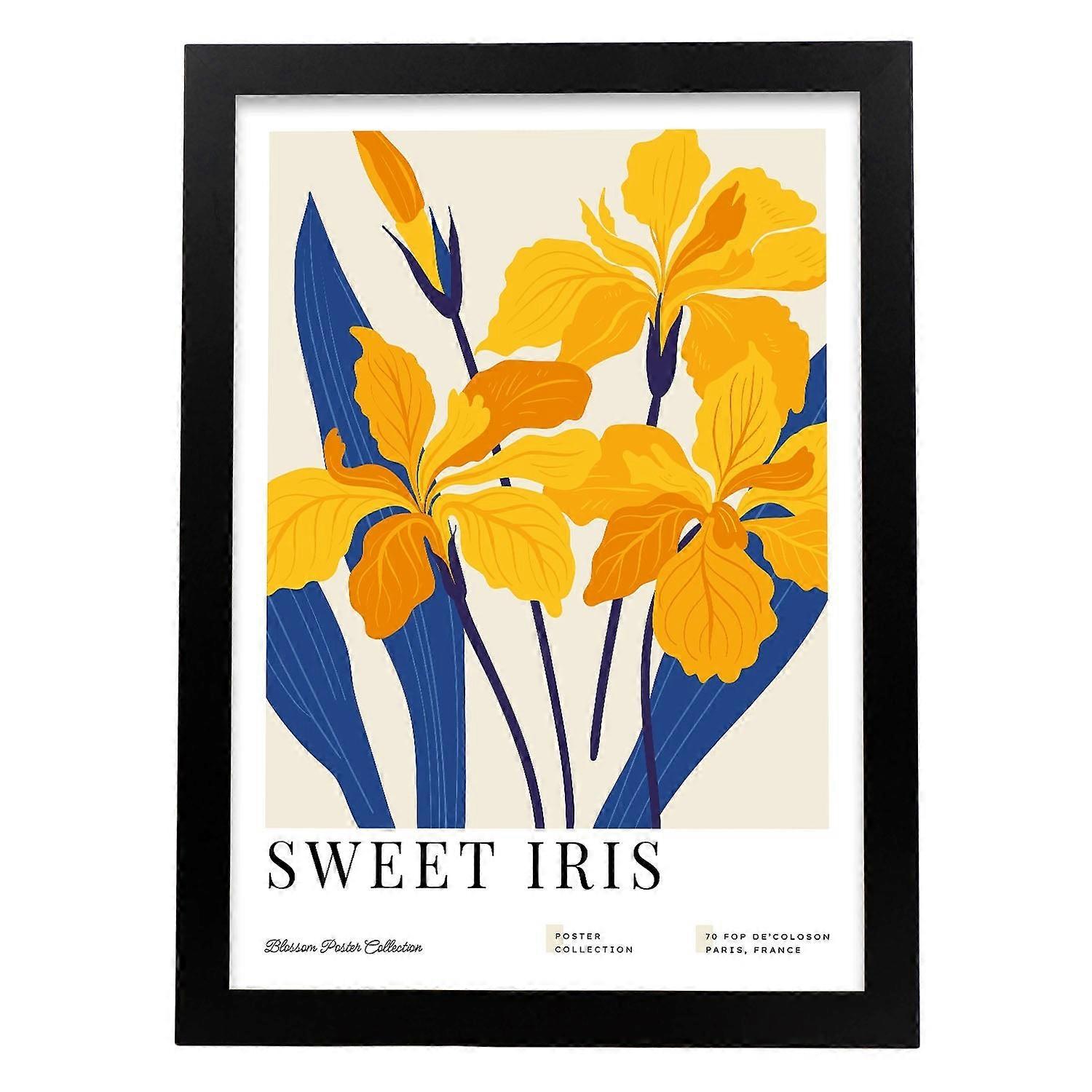 Affiche Sweet Iris