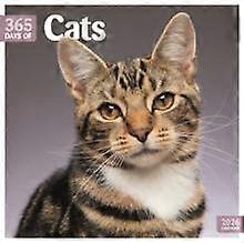 Cats 365 Days Square Wall Calendar 2026 Calendar Book