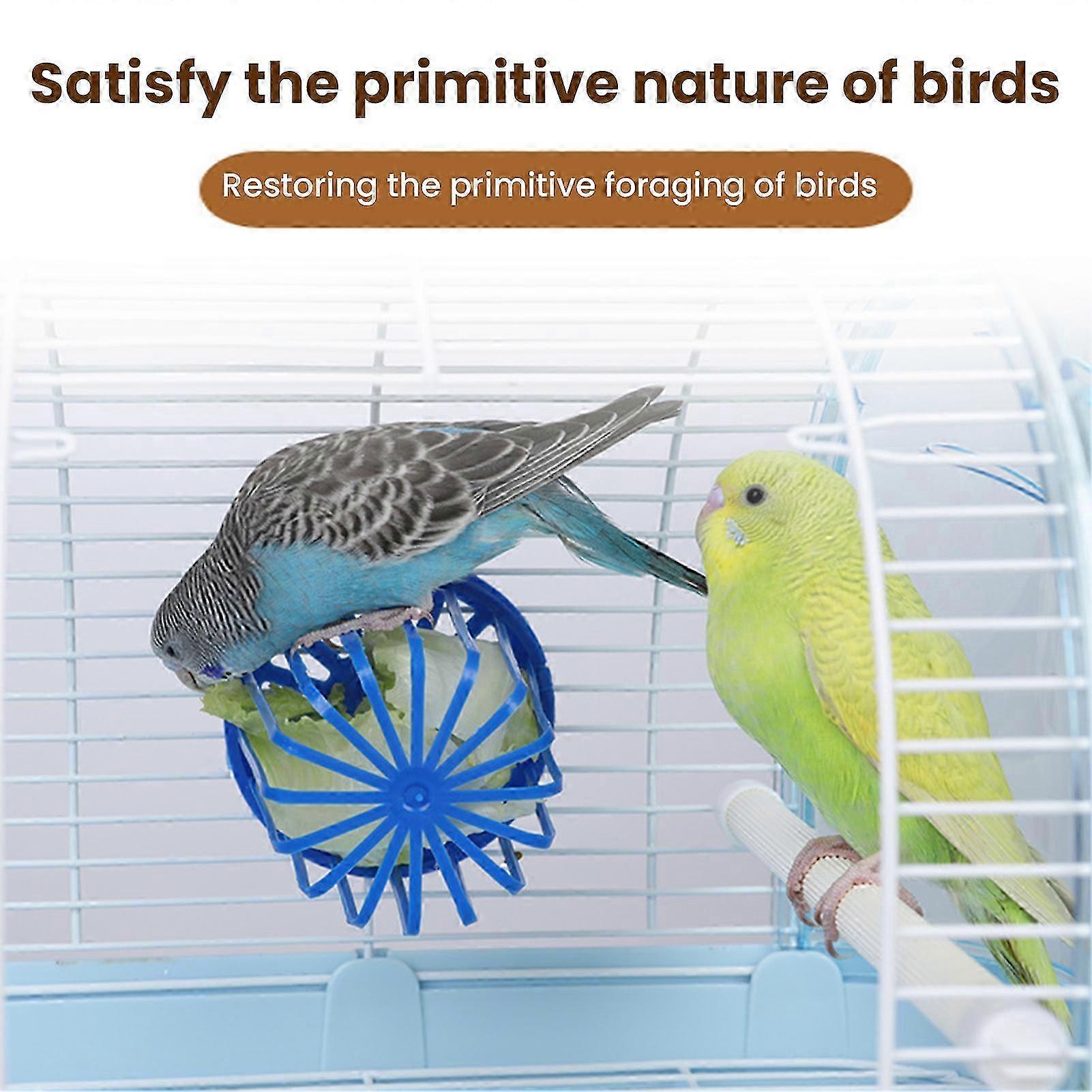 Birdcage Fruit Vegetable Feeder