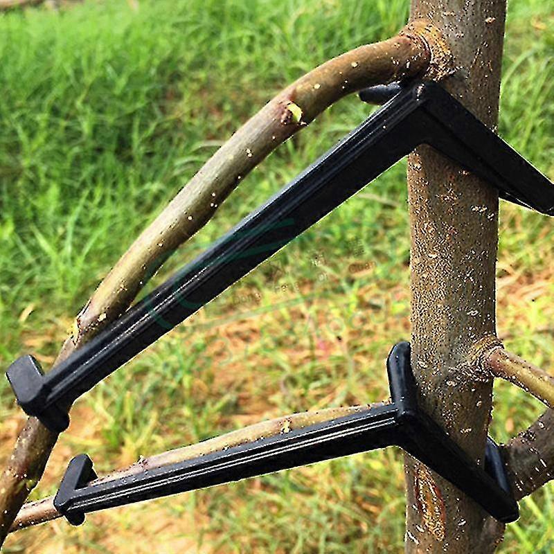 10pcs Fruit Tree Branches Holder Fruit Branch Spreader Tree Branch Support Frame