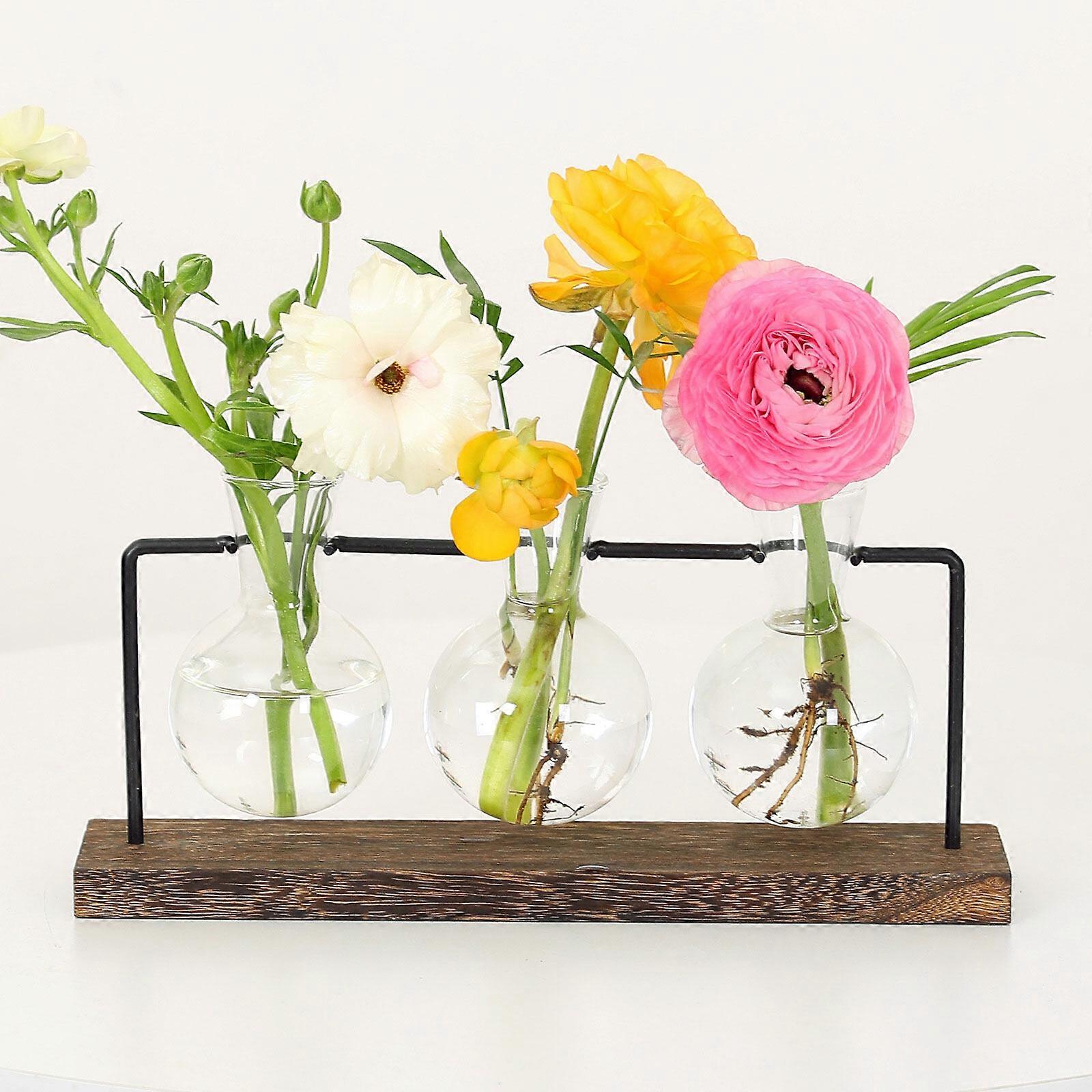 Desktop Pflanzen-Anzuchtstation – Terrarium Mit Holzständer & 5 Reagenzgläsern, Für Hydrokultur, Deko, Geschenk