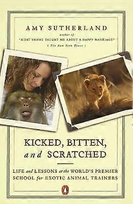 Kicked Bitten and Scratched