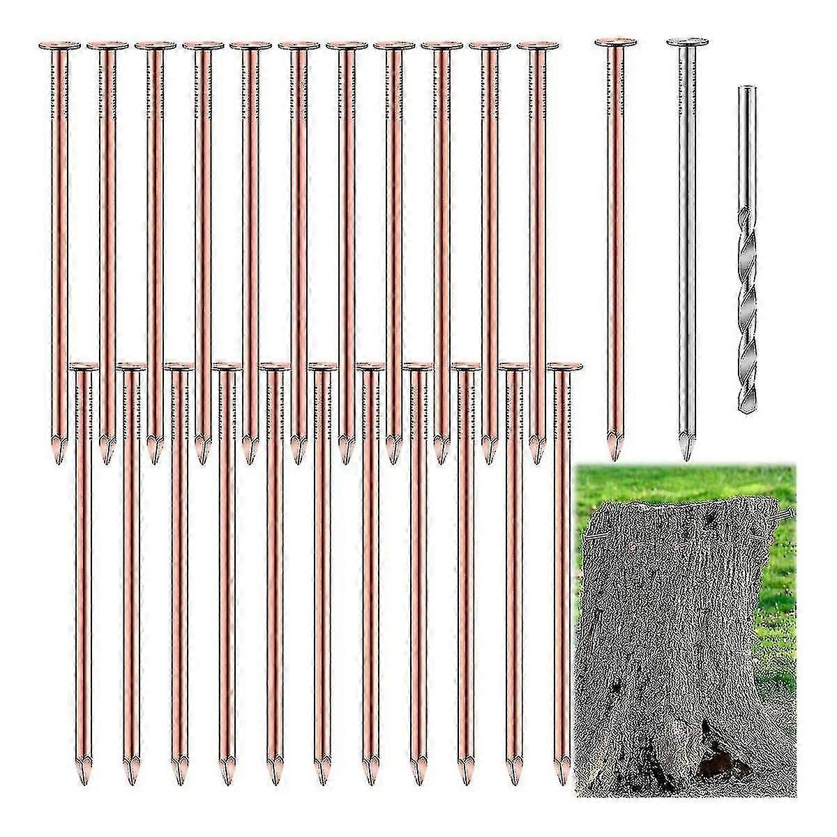 25 Pcs Copper Nails to Killing ,3.5 Inch Pure Copper Nails Bulk,Stump Removal Spikes Hardware Nails for