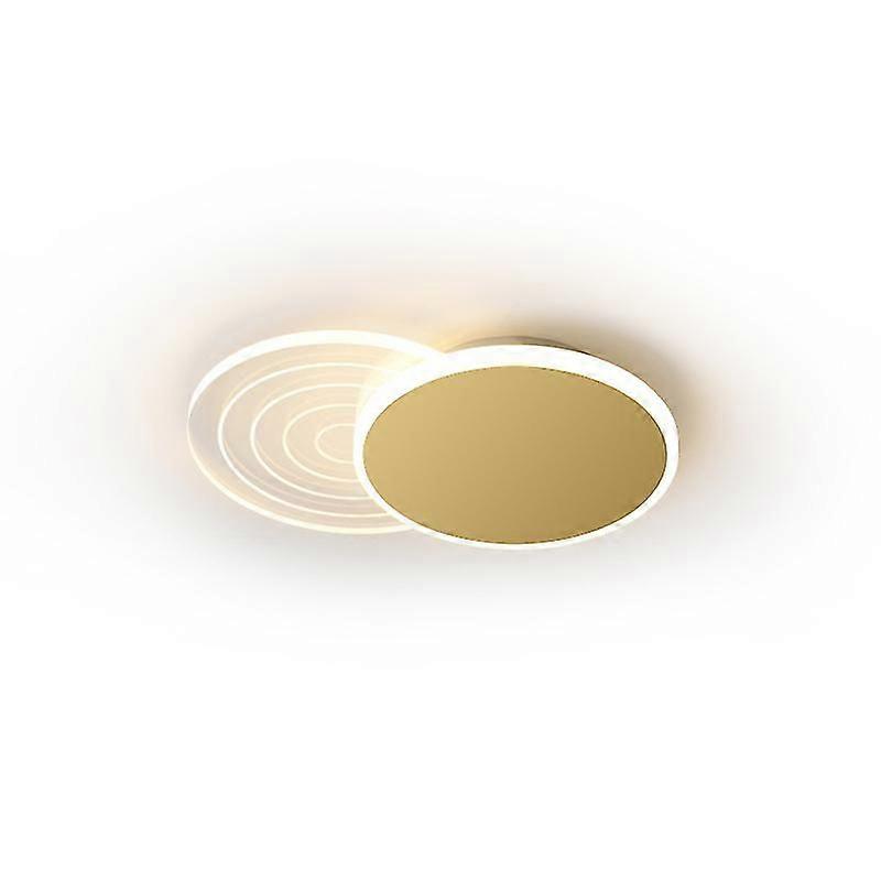 unbrand Stylish LED ceiling light small modern ceiling light suitable for corridor stairs living roo