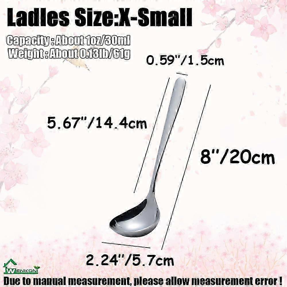Stainless Steel Soup Ladles, Set of 2, Ideal for Cooking and Serving 2025