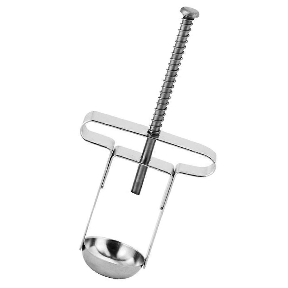 Cherry Pitter Tool Manual Core Remover for Home Use Silver