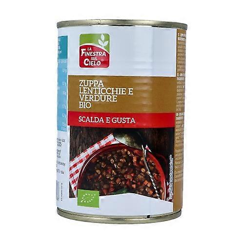 Lentil and vegetable soup 400 g