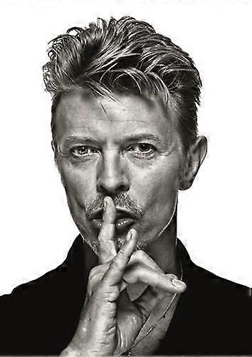 Bowie Jigsaw Puzzle Brain Teaser TP0917