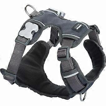 Hondentuig Rood Dingo Bekleding Grijs Maat l