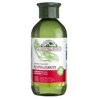 Ginseng and Pomegranate Revitalizing Shampoo Bio 300 ml of gel (Ginseng - Pomegranate)