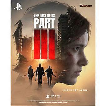 Last Of Us P 3 Stress-Relieving Puzzle BD-5198