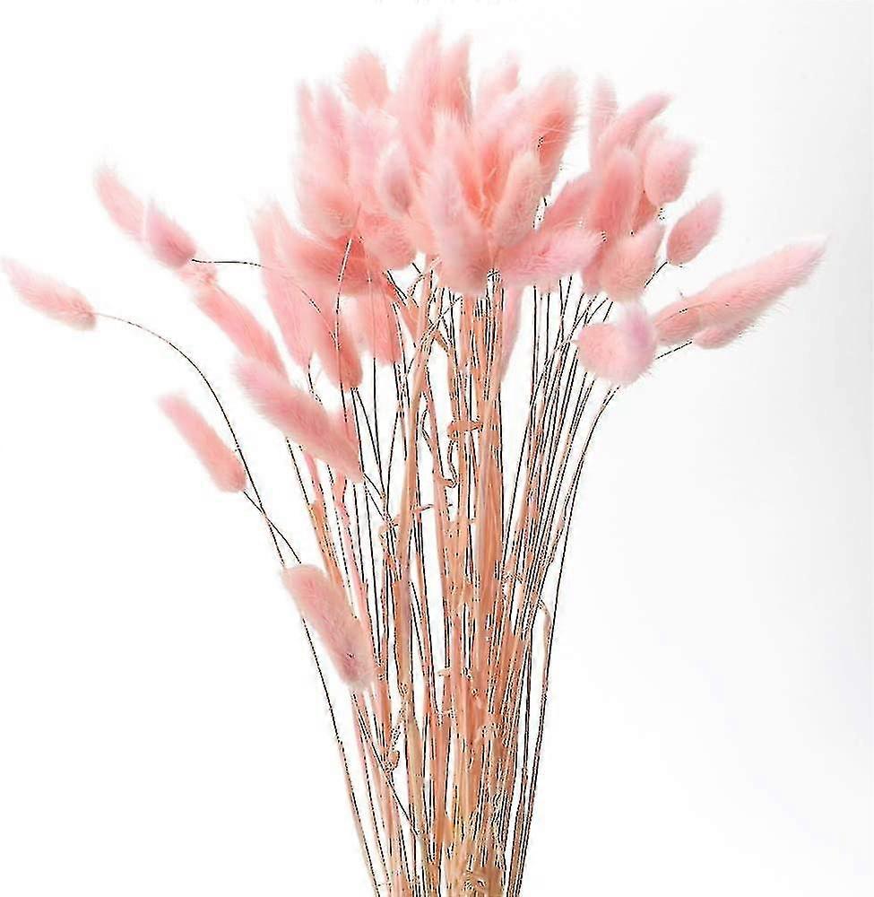 Natural Dried Flowers 60 Pcs Dried Pampas Grass Stems Rabbit Tail Grass Plants For Wedding Centerpieces Bouquet Floral Arrangements Christmas Wreath H