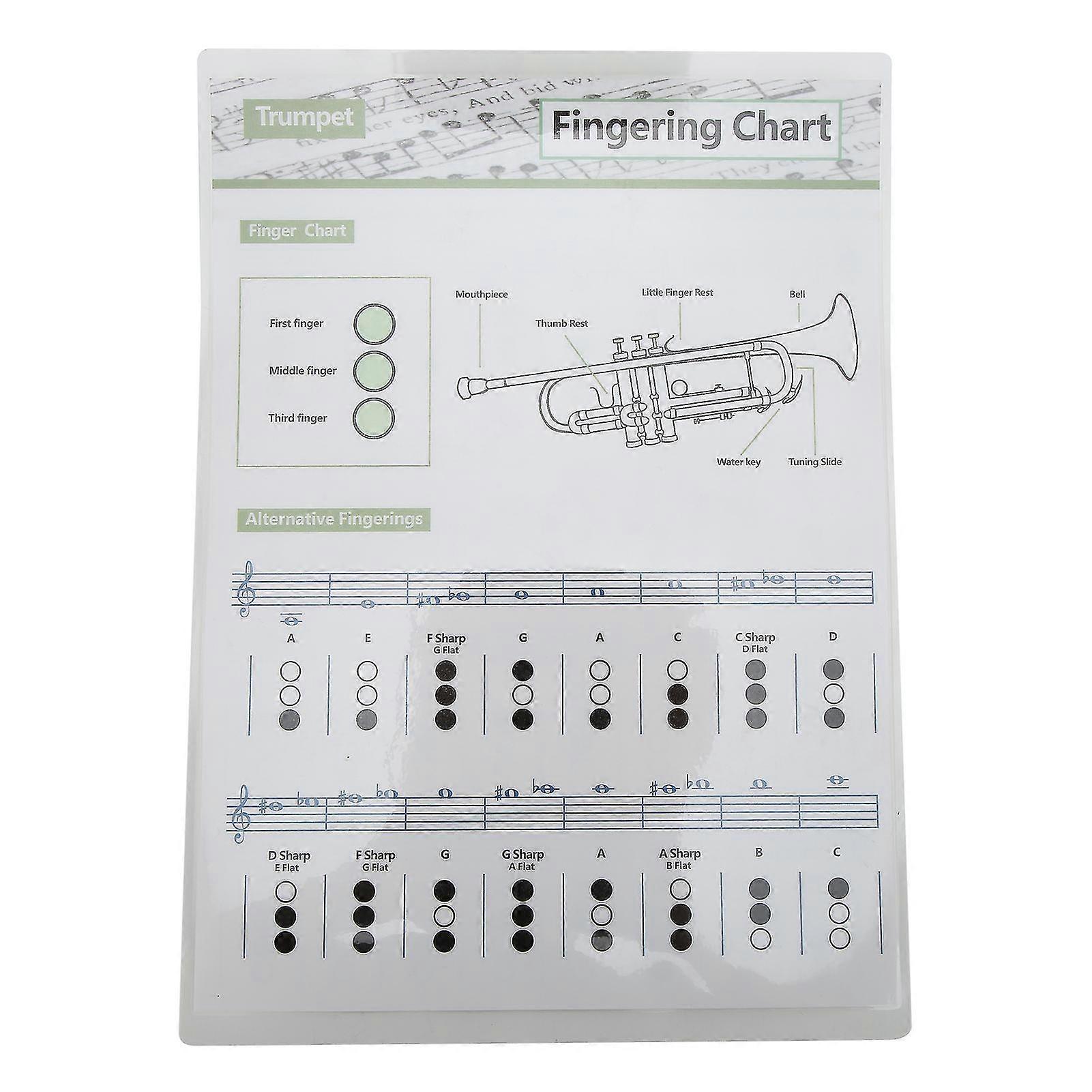 Trumpet Chord Chart Fingering Note Music Instrument Reference Guide for Home ClassSmall