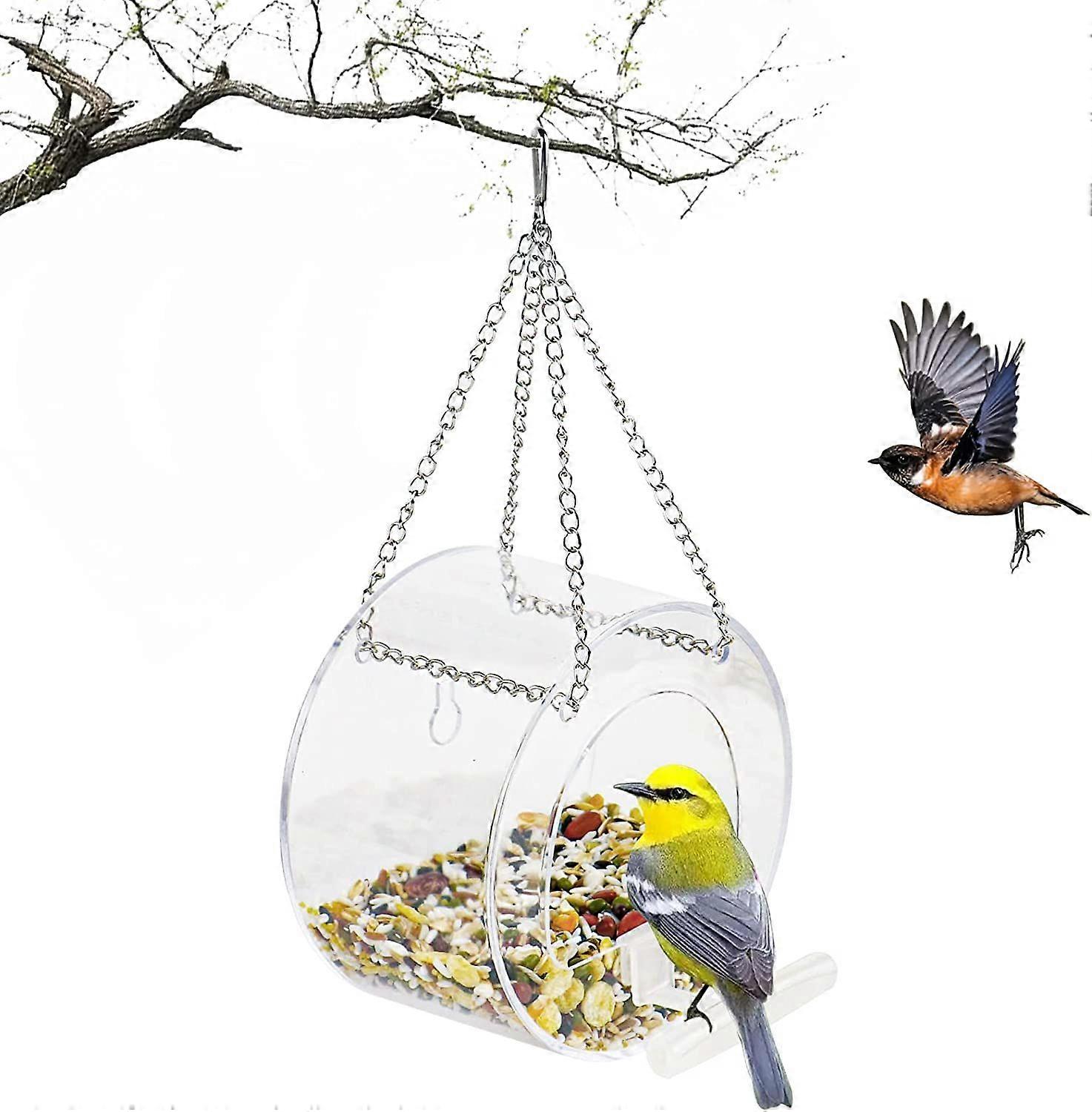 Window Bird Feeder - Large Bird House for Outside Hanging Window Bird Feeder with Suction Cups and Chains: Removable, Round Birdfeeder for Watching Wi