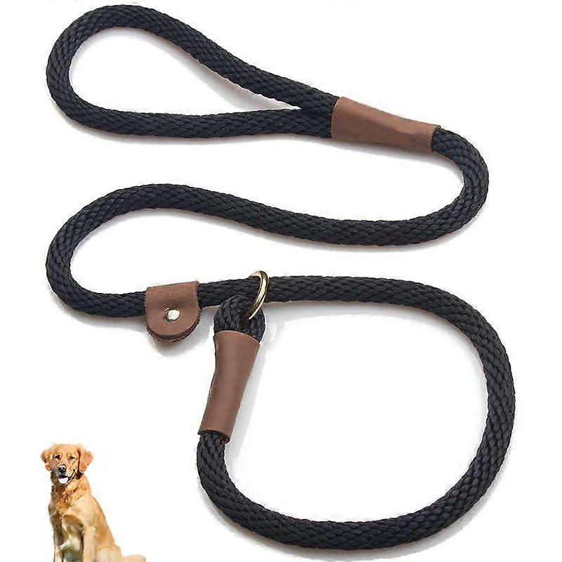Slip Leash for Dogs, Lead and Collar Combo for Small/Medium Breeds, 3/8 Inch Wide, 4 Feet Long, Durable Nylon Material