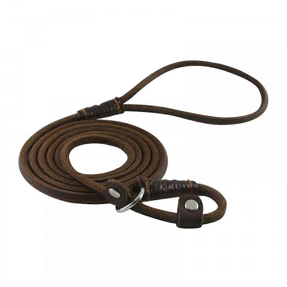 Dog Slip Lead 5ft Leather 2-in-1 Training Leash Adjustable Neck Size for Small Medium Large Dogs